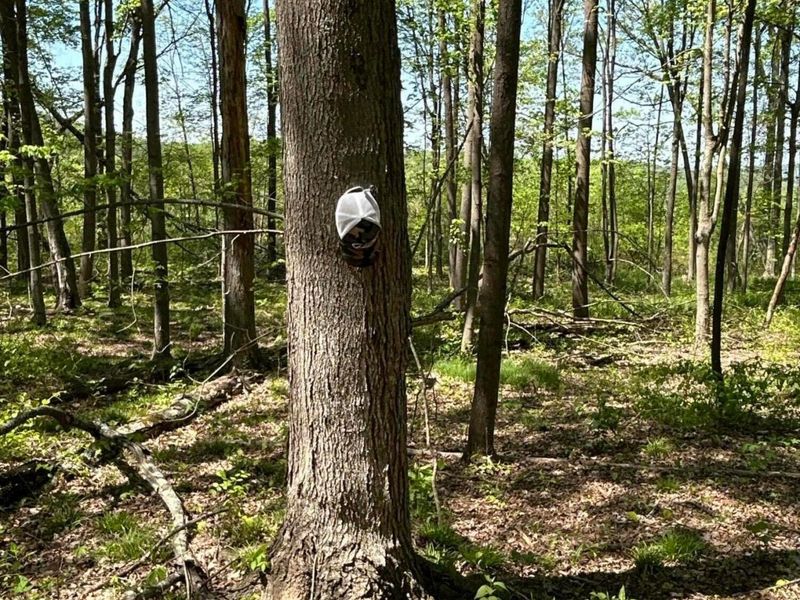 9407 Beavers Ridge Road, Piketon, OH 45661 Photo 15