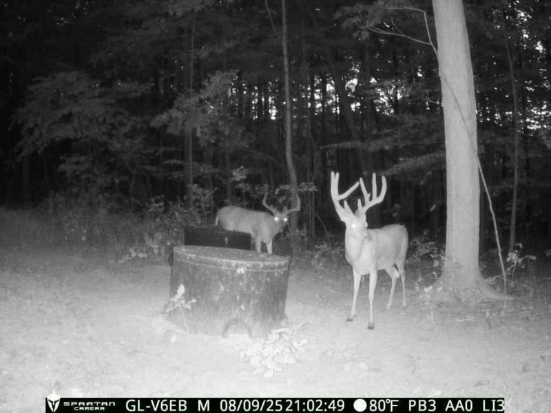 9407 Beavers Ridge Road, Piketon, OH 45661 Photo 16