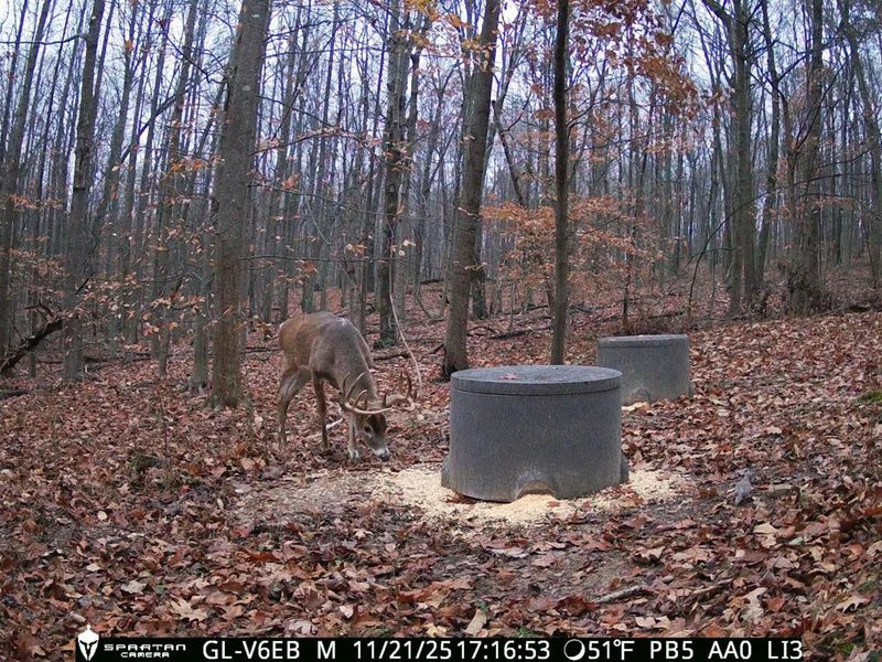 9407 Beavers Ridge Road, Piketon, OH 45661 Photo 18