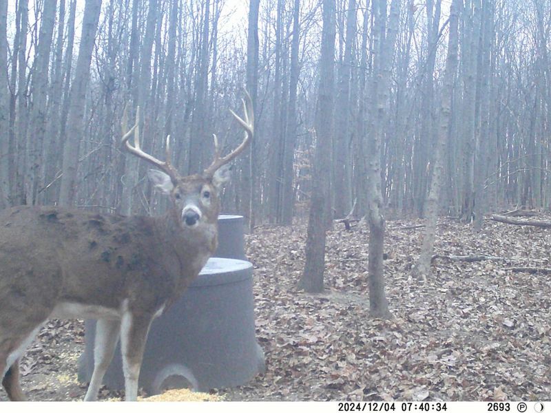 9407 Beavers Ridge Road, Piketon, OH 45661 Photo 21