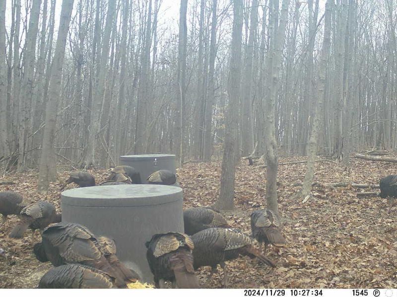 9407 Beavers Ridge Road, Piketon, OH 45661 Photo 22