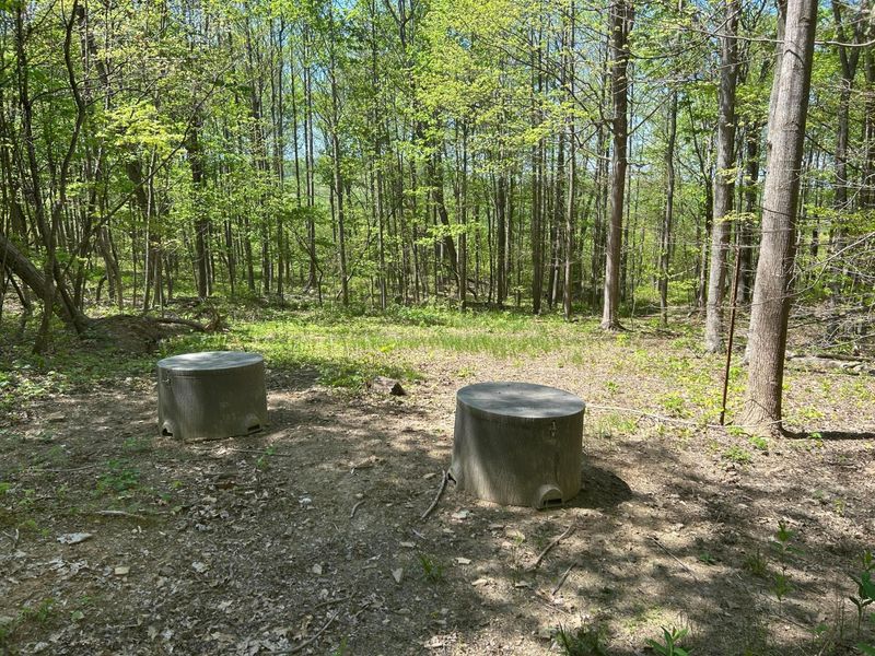9407 Beavers Ridge Road, Piketon, OH 45661 Photo 23