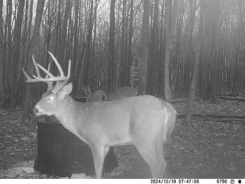 9407 Beavers Ridge Road, Piketon, OH 45661 Photo 28