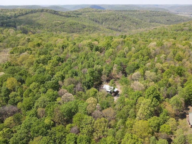 9407 Beavers Ridge Road, Piketon, OH 45661 Photo 28