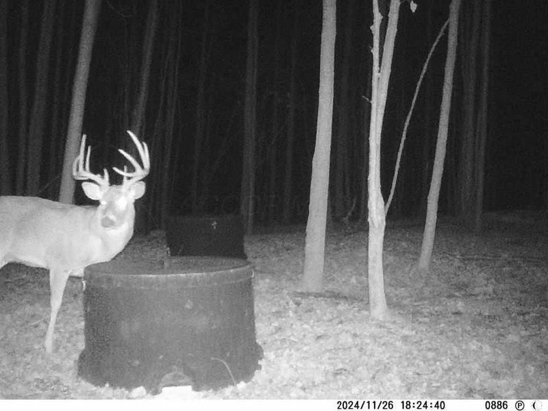 9407 Beavers Ridge Road, Piketon, OH 45661 Photo 35