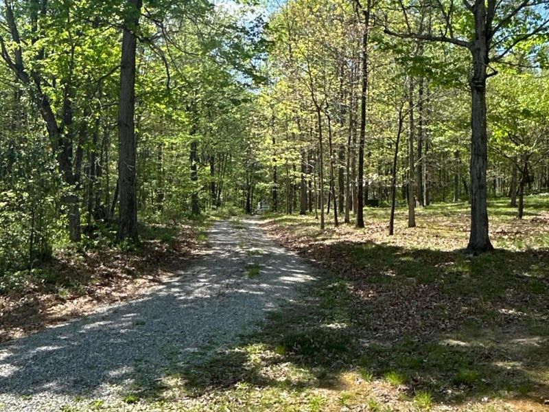 9407 Beavers Ridge Road, Piketon, OH 45661 Photo 5