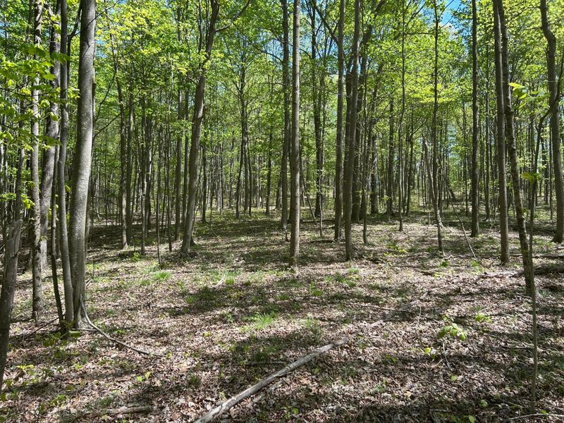 9407 Beavers Ridge Road, Piketon, OH 45661 Photo 7