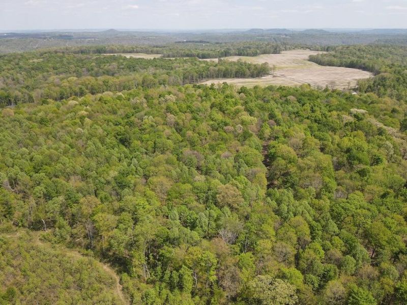 9407 Beavers Ridge Road, Piketon, OH 45661 Photo 8