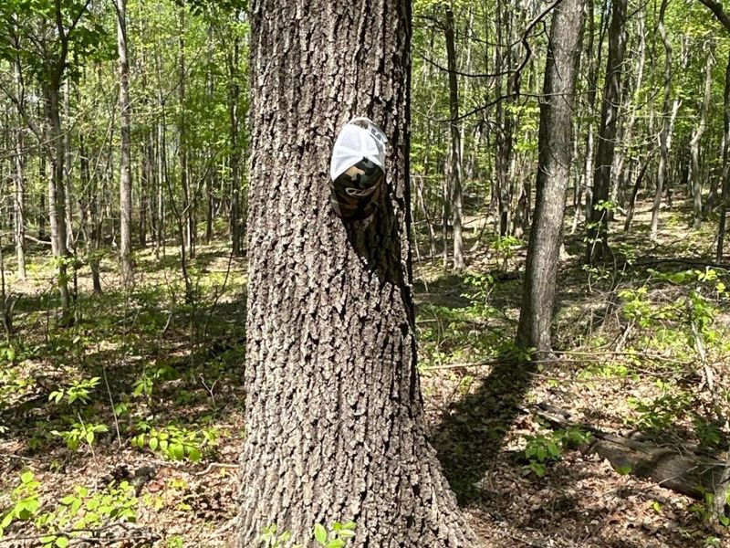 9407 Beavers Ridge Road, Piketon, OH 45661 Photo 8