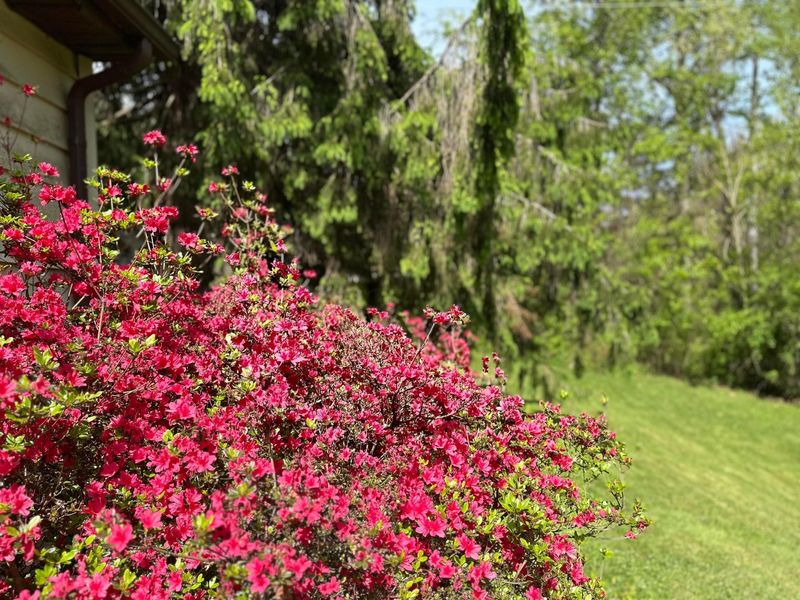 10287 State Route 664 N, Logan, OH 43138 Photo 15