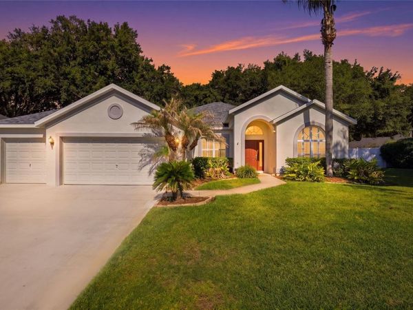 3205 PARTRIDGE POINT TRAIL , VALRICO, FL 33596