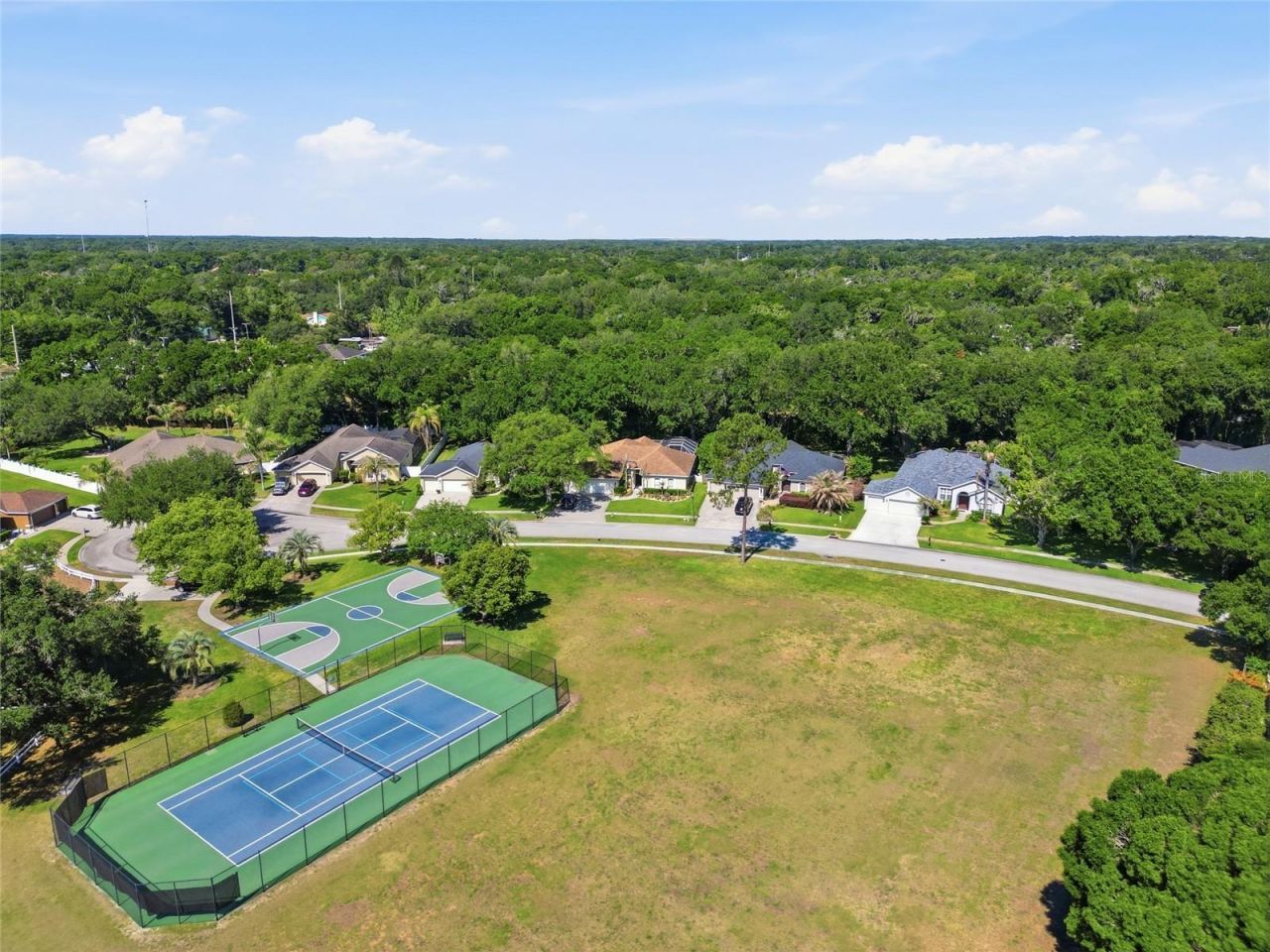 3205 Partridge Point Trail , Valrico, FL 33596 Photo