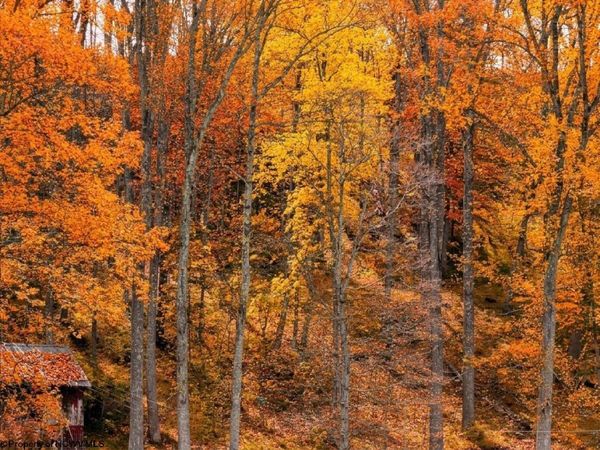 Lot 99 Crystal Lake, West Union, WV 26456