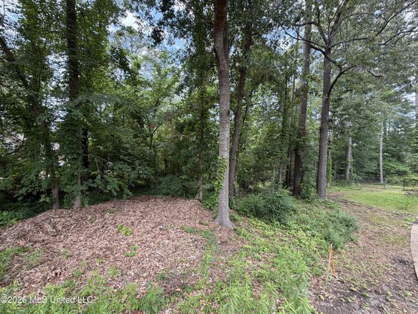 136 Plum Tree Road, Brandon, MS 39047