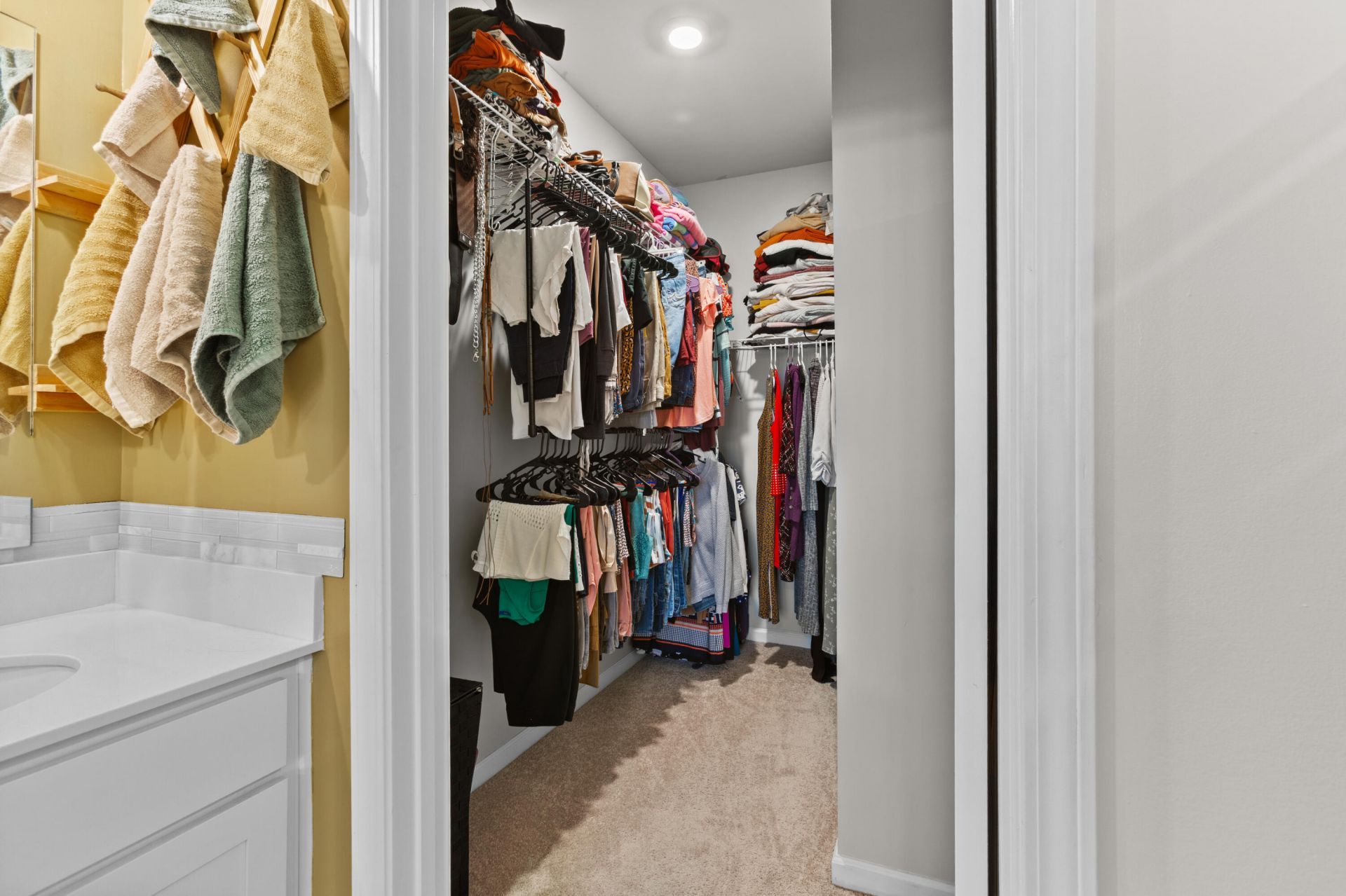 419 Blue Elderberry Run Photo 10