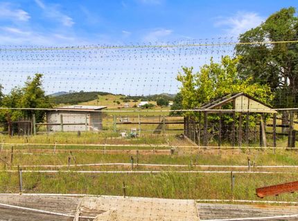 8185 French Flat Rd, Jamestown, CA 95327 Photo