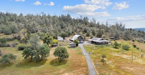 8185 French Flat Rd, Jamestown, CA 95327 Photo