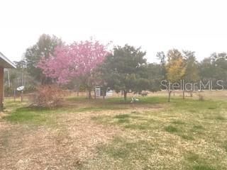 32420 County Road 473 , Leesburg, FL 34788 Photo