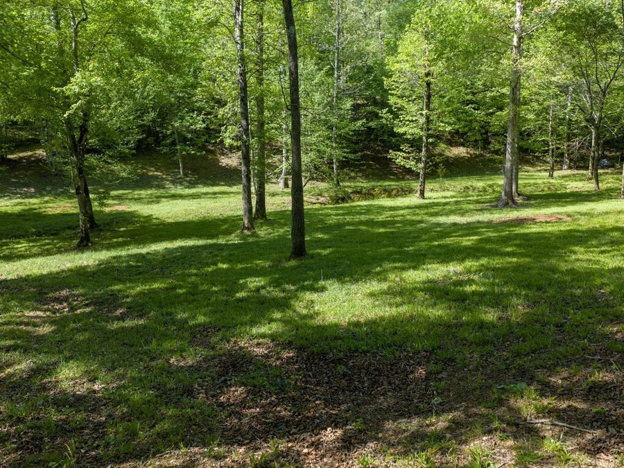 Property Image 58
