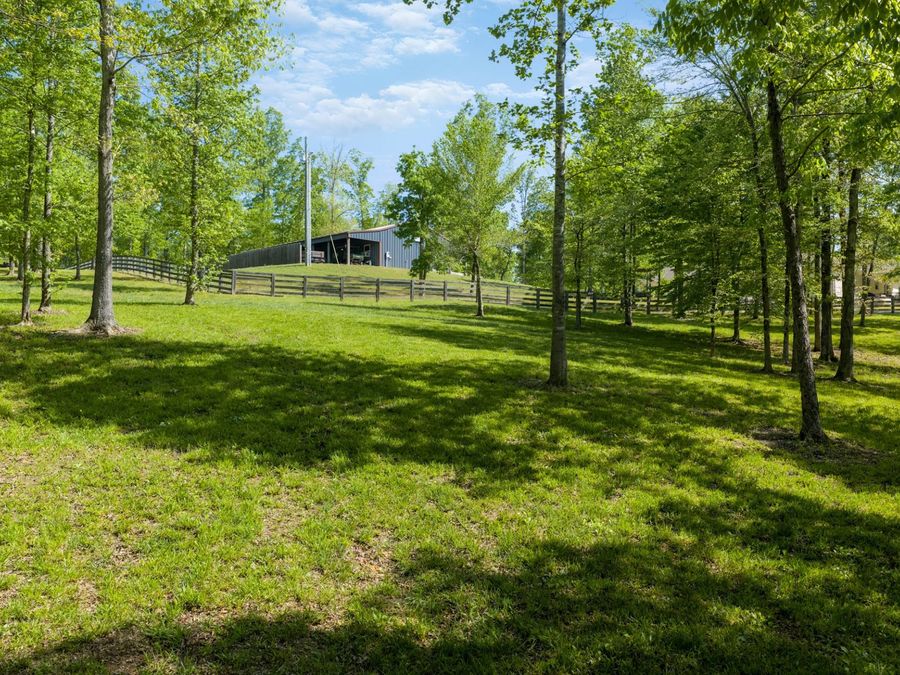 Property Image 62