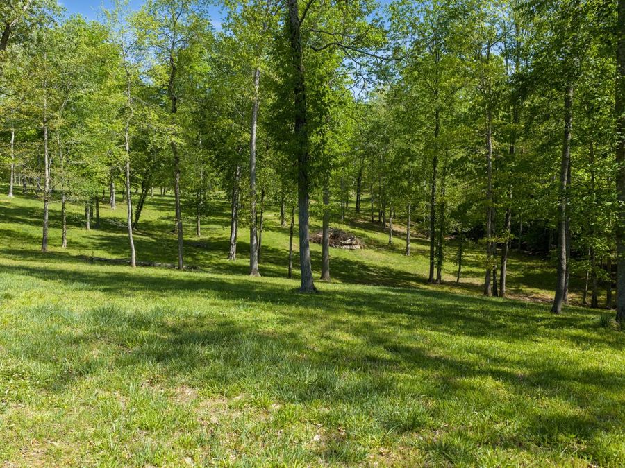 Property Image 66