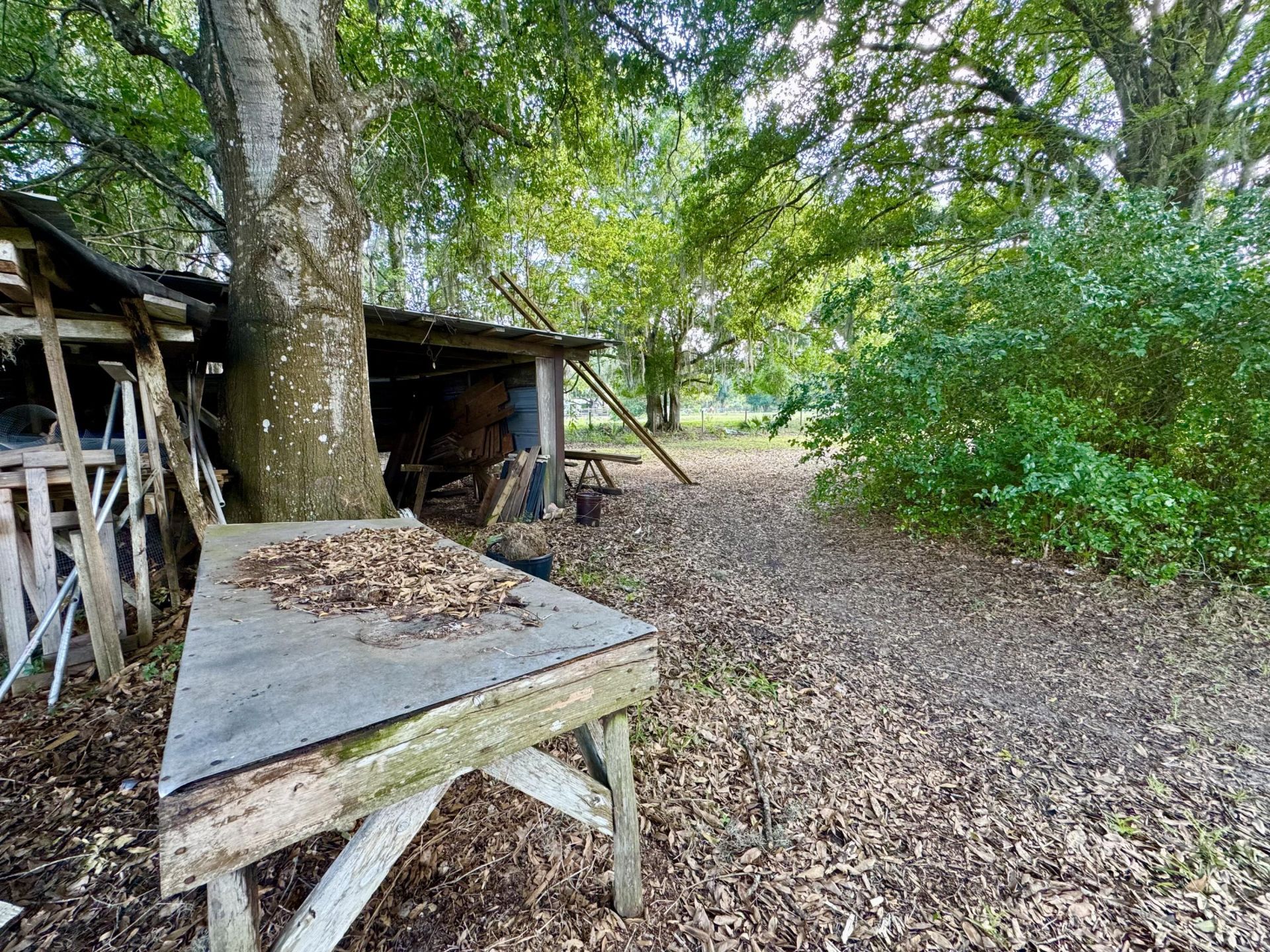 17135 NW 190th Road, Okeechobee, FL 34972 Photo