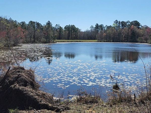 0 Marvin Church Road, Lyons, GA 30436