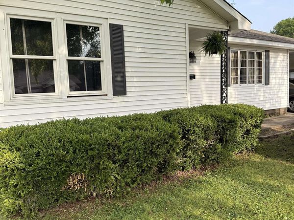 491 N Scurlock, Piggott, AR 72454