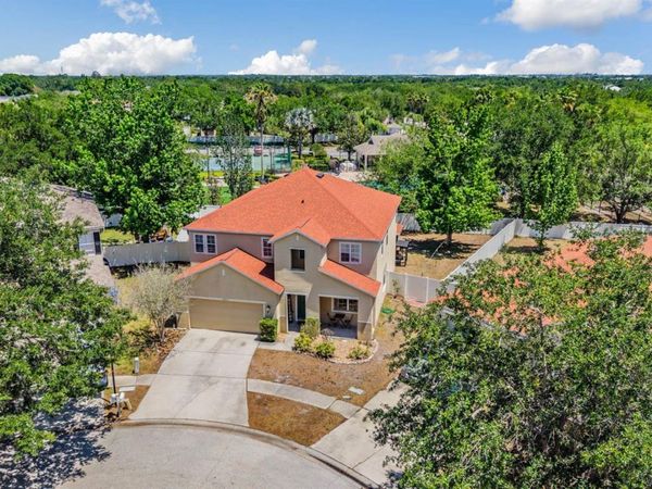 10945 SUBTLE TRAIL DRIVE , RIVERVIEW, FL 33569