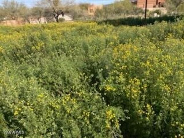 45427 N 14th Street, Unit A, New River, AZ 85087