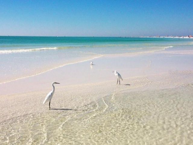 3350 S Osprey Avenue, Unit 209A, Sarasota, FL 34239 Photo