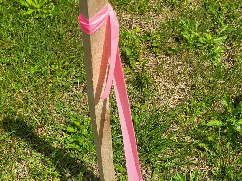 0 Zion Road NW, Somerset, OH 43783 Photo 27