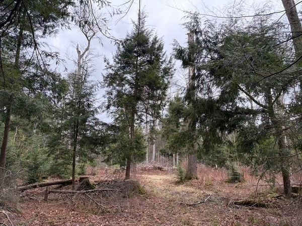 Pritchard Road , Springville, NY 14141