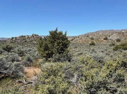 1325 Antelope Valley Road, Reno, NV 89506 Photo