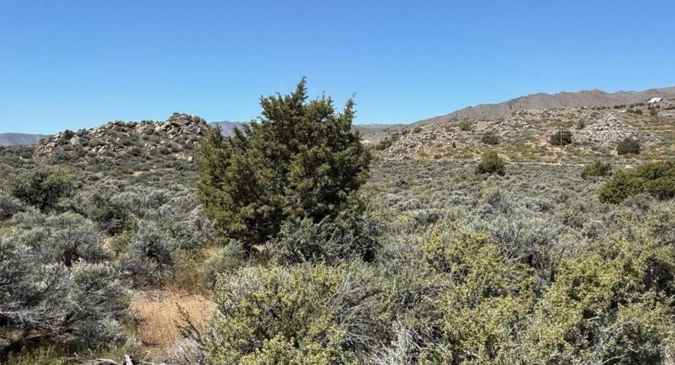 1325 Antelope Valley Road, Reno, NV 89506 Photo