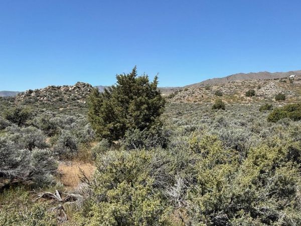1325 Antelope Valley Road, Reno, NV 89506