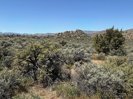 1325 Antelope Valley Road, Reno, NV 89506 Photo