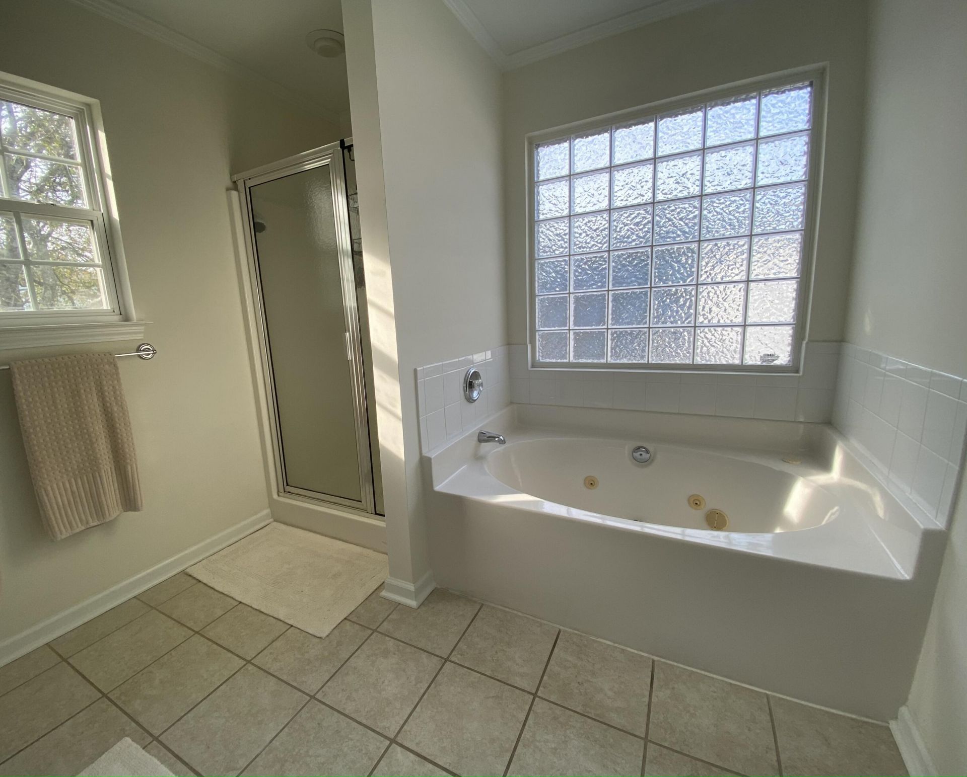 1009 Clearspring Drive Photo 10