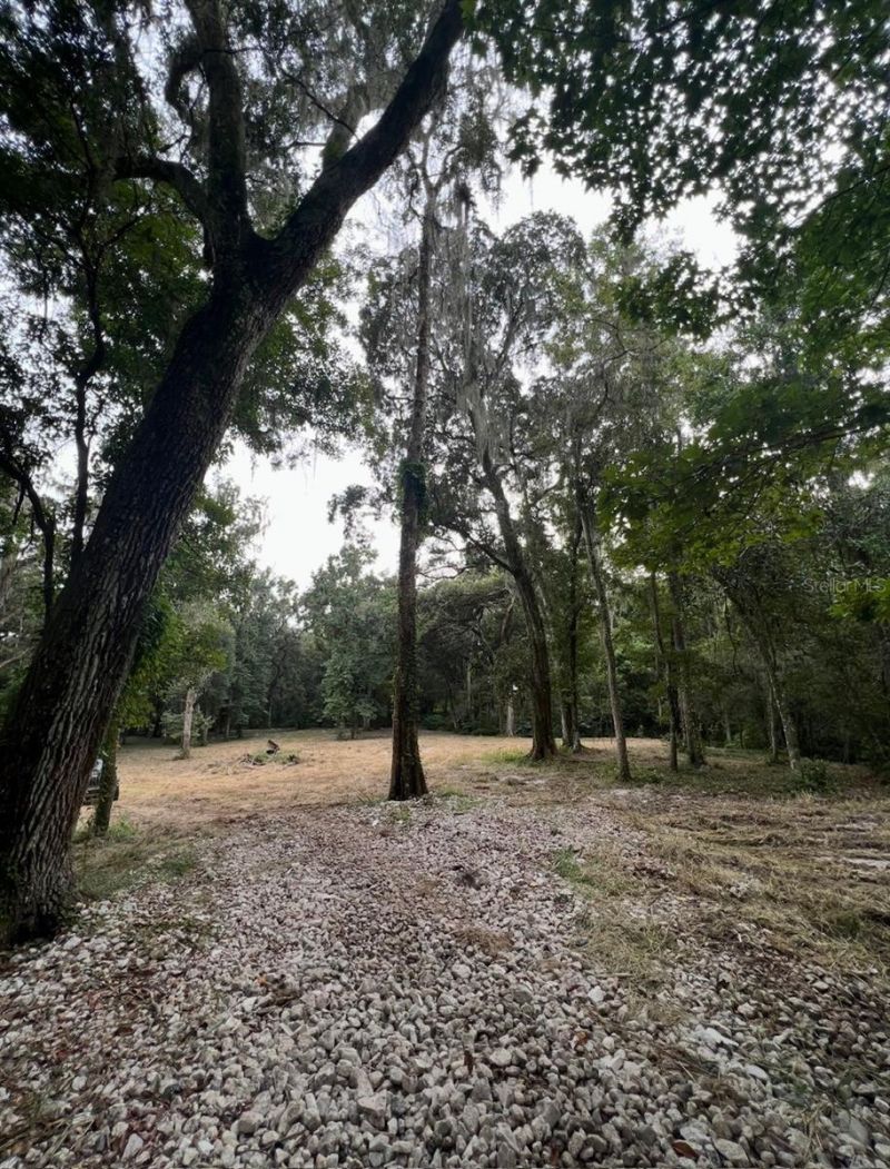 33234 Chipco Ranch Road , Dade City, FL 33523 Photo