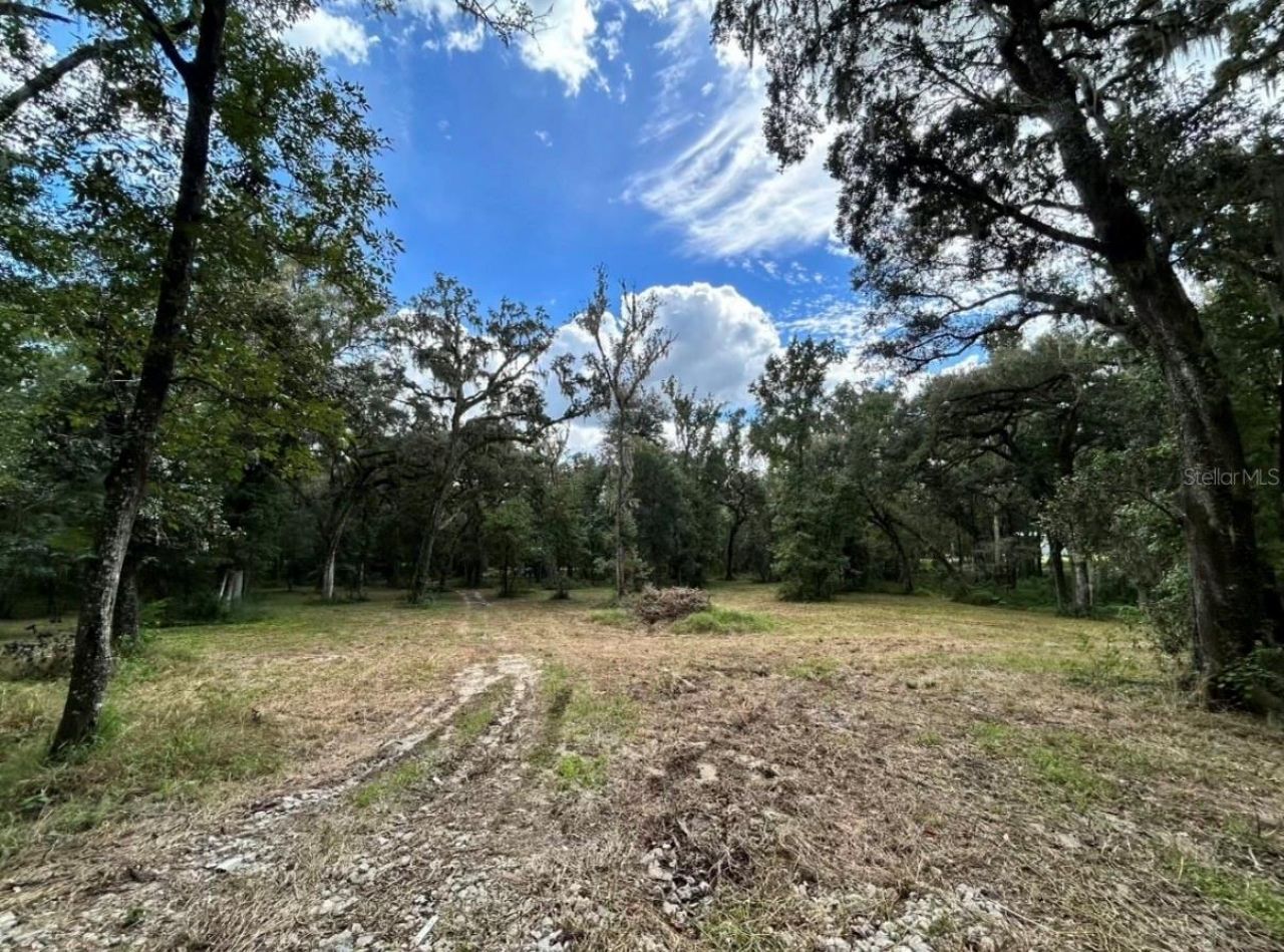33234 Chipco Ranch Road , Dade City, FL 33523 Photo