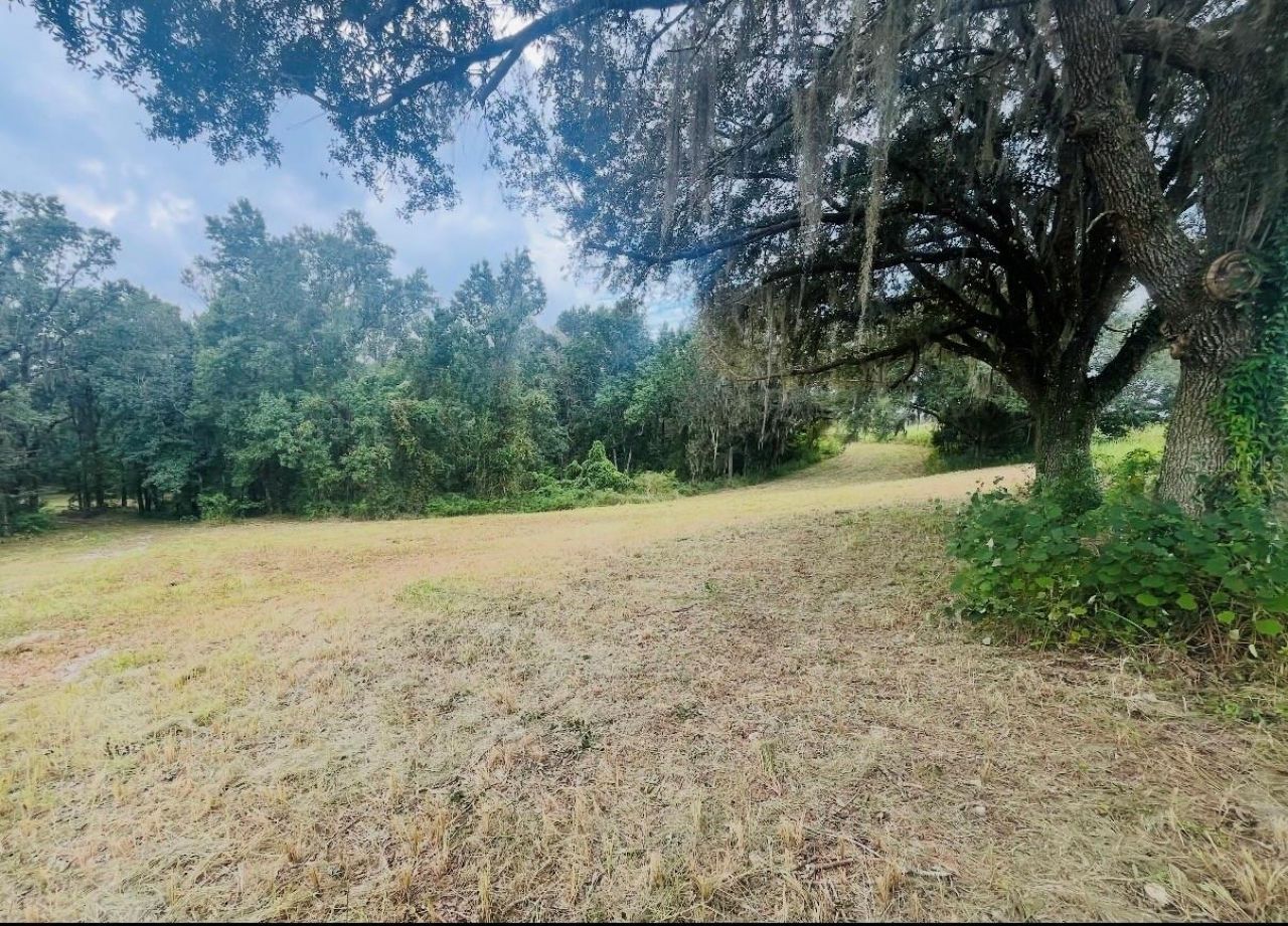 33234 Chipco Ranch Road , Dade City, FL 33523 Photo