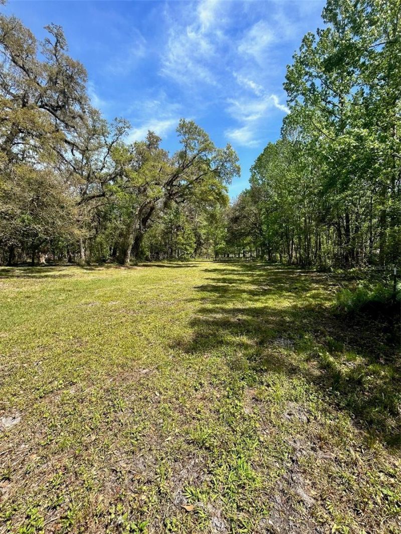 33234 Chipco Ranch Road , Dade City, FL 33523 Photo