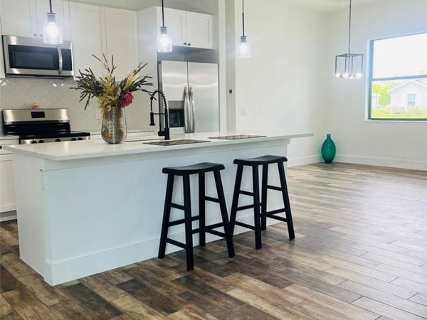 3365 DOUGLAS ROAD , PUNTA GORDA, FL 33980