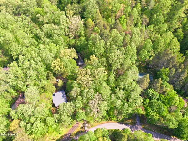 Domar Drive, Townsend, TN 37882