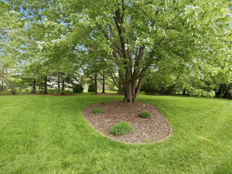 4994 Henderson Heights Road, Columbus, OH 43220 Photo 49