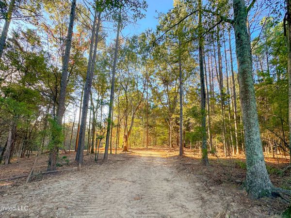 Mount Leopard Road, Flora, MS 39071