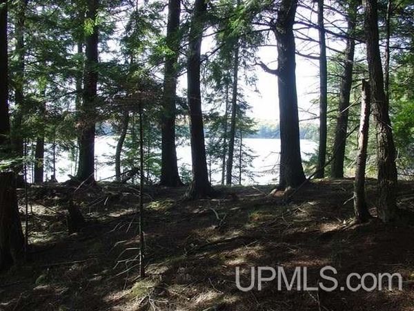On Channel Road, Watersmeet Twp, MI 49969