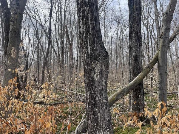 tbd Peninsula Acres Road, Thompson Twp, MI 49854