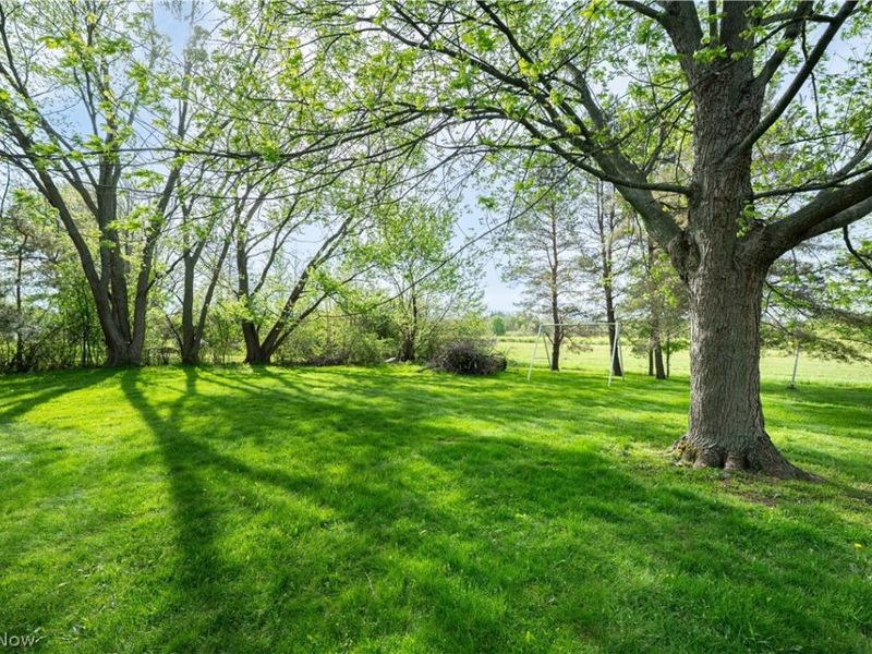 12310 Huntoon Road, Concord Township, OH 44077 Photo 41