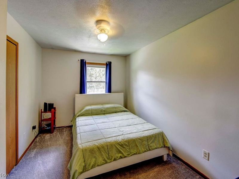 7350 Gilbert Street, Chippewa Lake, OH 44215 Photo 17